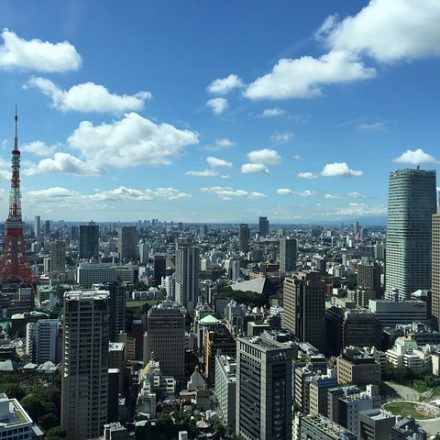 일본 입국 절차 비지트 재팬 웹 Visit Japan Web 작성 방법