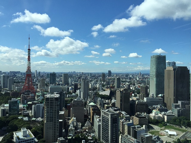 일본 입국 절차 비지트 재팬 웹 Visit Japan Web 작성 방법